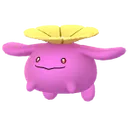두코