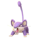 꼬렛