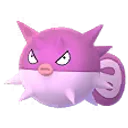 색이 다른 침바루