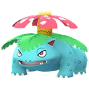 이상해꽃