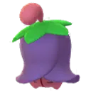 체리꼬