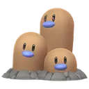 색이 다른 닥트리오