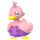 꼬지보리