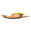 메더