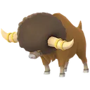 버프론