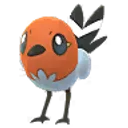 화살꼬빈