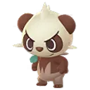 색이 다른 판짱