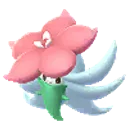 색이 다른 꼬모카
