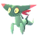 드라꼰